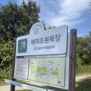 농촌목장 | 춘천 당일치기 코스 추천 양떼목장 ‘해피초원목장’ 내돈내산 후기