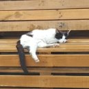 적암초등학교 이미지