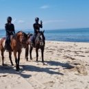 엘포리 캠핑장 이미지