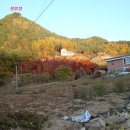 영천약수 이미지