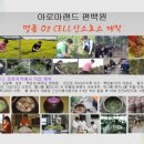 편백효소찜질 본점 이미지