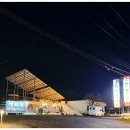 금화가든 | 전주 금화가든 미나리 가득 생태탕지리' 현지인 맛집