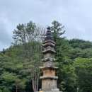 백의관음보살도 | 충남 공주 유네스코 세계문화유산 마곡사 가을여행