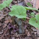 바울농장2 이미지