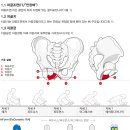 수안장 이미지