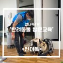 베리떼 동물병원 | [유튜브채널] 언더독TV : [보호자 방문 교육]