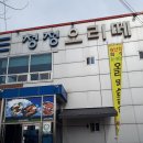 청정오리떼 이미지