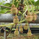 오름농장 이미지