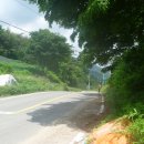 화목재 Daum카페