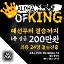 알파세종 이미지