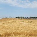 신길1동공립작은도서관 이미지