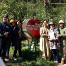 잭과 사과나무 이미지