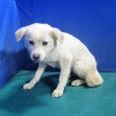 경북청과상회 이미지