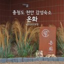 백조 명품 세탁 | 충청도 천안 감성무인호텔 온화 : 가성비와 깔끔한 침구류와 감성까지 가득한 동남아 스타일의 호텔...