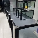 도그어게인 이미지