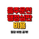 음주운전 행정심판 비용 , 최저 비용으로 구제받는 꿀팁 공개! 이미지