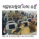 부자 이미지
