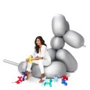 Big Dog(빅독) 이미지