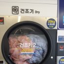 댕 빌리지 이미지