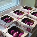 광덕초병설유치원 이미지