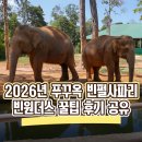 오션씨푸드&평화 | 2026년 푸꾸옥 빈펄사파리 빈원더스 꿀팁 후기