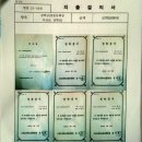 조양초등학교 이미지