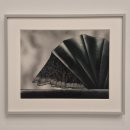 브롱스 수유점 | [공지] 화이트큐브 서울 : Julie Curtiss 개인전 <깃털로 만든 여인>줄리 커티스의 한국 첫 개인전으로...