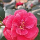 모라산림공원 이미지