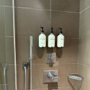 뉴엠호텔(New M) | 뉴욕 호텔 추천ㅣM Social Times Square 숙소 후기 #내돈내산