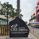 장생포고래로 | [울산/고래박물관] 울산 장생포 고래박물관 관람 후기, 아이와 가볼만한곳 추천!