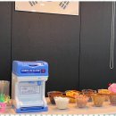 힘찬 태권도장 이미지