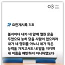 시온의 대로 이미지