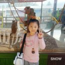 I-CAN 송현 태권도 이미지