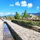 개동(남)경로식당 | [중국샤먼여행] 토루 일일투어 후기 | 운수요·전라갱토루 코스