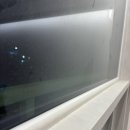 아이원바이오 | [포항실리콘코킹]경북 포항 우현동 풍림아이원 아파트 인테리어 마감 실리콘 코킹 시공 후기