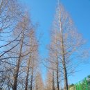 남산녹지공원 축구장 이미지