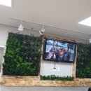 다산호스텔 이미지