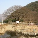 한인방