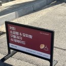 백투디저트