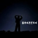 푸른솔할인마트 | 호주무한투어로 시드니 블루마운틴 선셋 별빛 투어 다녀온 후기 (feat. 페더데일동물원)