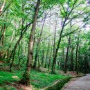 부산어린이대공원 이미지