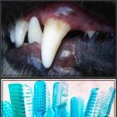 내남의원 | 치아 건강 지키는 꿀팁 양치 후 30분의 마법과 견과류의 두 얼굴