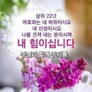 자연복음