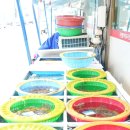 윤희네뻘낙지 | 전남 무안 맛집 국내산 낙지 윤희네뻘낙지전문점