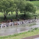 나성동_다정교 이미지