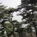 정읍고등학교 이미지