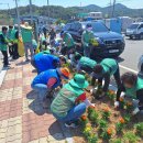 나진(화양면) 이미지