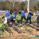 김동훈 농장 이미지