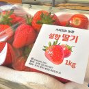 세용 농장 이미지