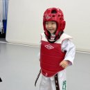 계명대꿈나무태권도장 이미지